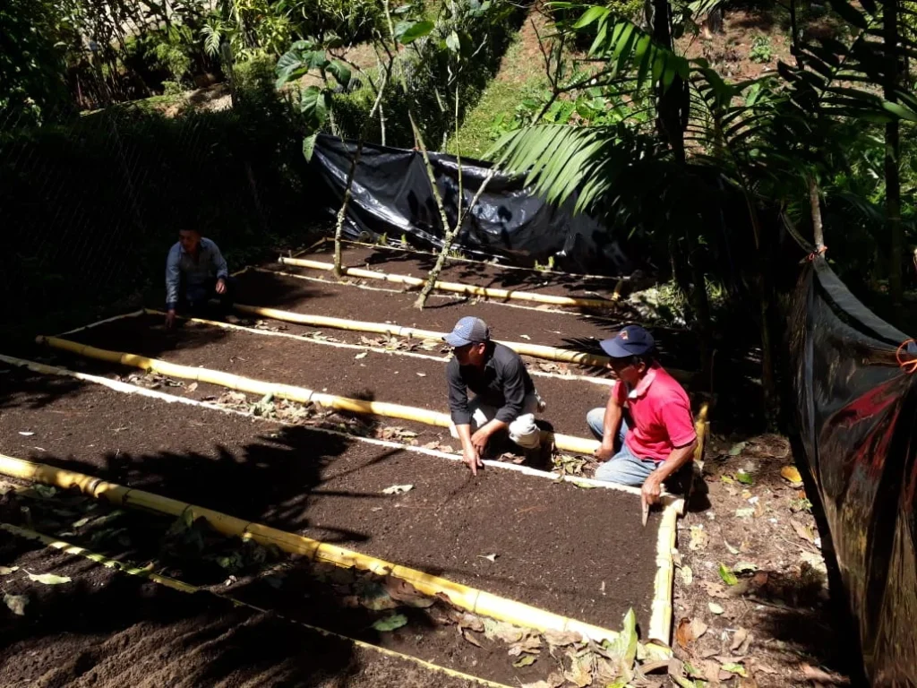 Prepared planting plots for the training in Guatemala