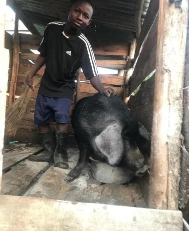 A visually impaired participant learns to handle pigs